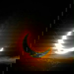 Pau Line profile icon