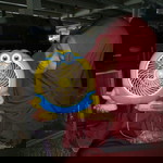 Arsshop profile icon