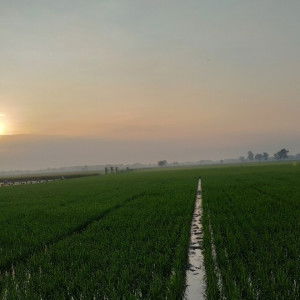 Rizka Azizah profile icon