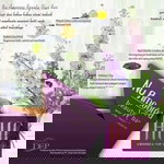 Zakiyah NurAlim profile icon