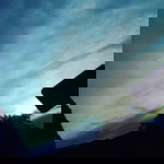 Amelda Gustisari profile icon