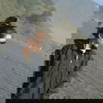 Usni Bayu profile icon