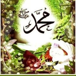 Diana Helwah profile icon