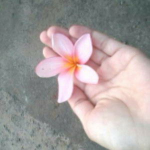 Hanun Mardiyah profile icon