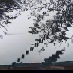 Lhx Yvonne profile icon