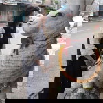 Jeab Pathumwan profile icon