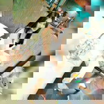 Methawee Wilailak profile icon