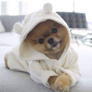 Mirasol Gumahin Tan profile icon