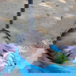 Mizon Mizon profile icon