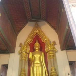 ส่งออก ต่างประเทศ profile icon