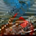 Siska Ariana Husin profile icon