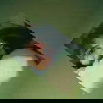 Dina Pertiwi profile icon