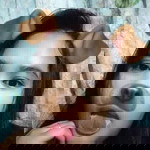 Mheb Borres Suson Estroga profile icon