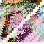 Ani Ita profile icon