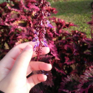 Eka Yuni Hasanah profile icon