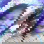 Lenie Ortega Mones profile icon