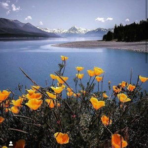 Eva Ariyunata profile icon