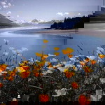 Eva Ariyunata profile icon