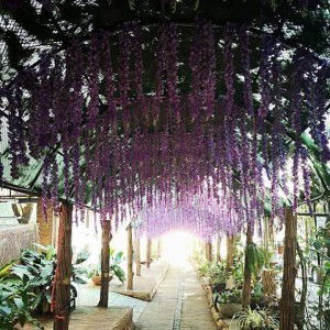 Azile Azile Rosario profile icon