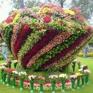 Ashley Ashley profile icon