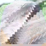 Izzatul Syafiqah Daud profile icon