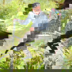 Deshinta profile icon