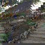 Ryka Galvs profile icon