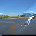 Dee McKenzie profile icon