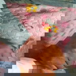 DiFa CemplLon profile icon