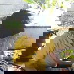 Bilbo Blackin profile icon