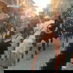 Mrs. Go profile icon