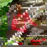 Ranti Secargris profile icon