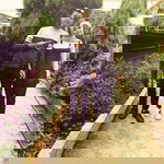 Honey Razif profile icon