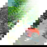 Jennifer Advincula Consolacion profile icon