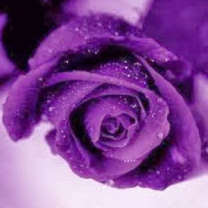 Rizki Aprilia profile icon