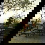 Bolin natom profile icon