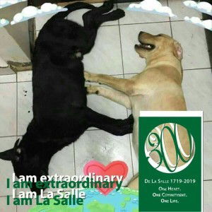 Joan Laurio profile icon