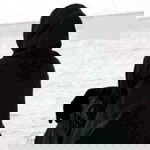 Paima Singh Abdul profile icon