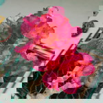 Nuzain profile icon