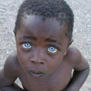 Tattharit Rathee profile icon