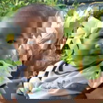 Nu Bird profile icon