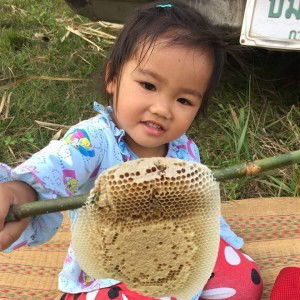 Apinya Yaya profile icon