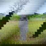 SarinaBahri profile icon