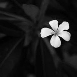 Medzai Pt profile icon