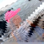 Naphatsorn Keram profile icon