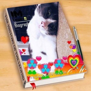 Dusida NaJa profile icon