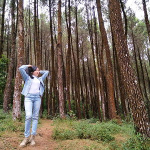 Devi Puspitasari profile icon