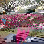 กิ่งกาญจน์ รู้ดี profile icon