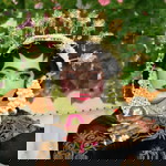 Iin Okihisa profile icon