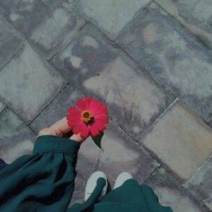 Finy Ilafi profile icon